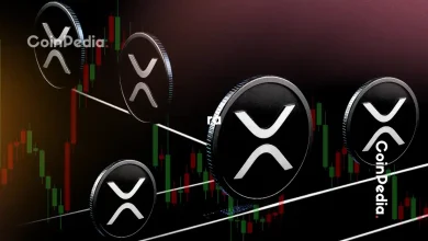 XRP Price Today Drops Below $3 After $55M Whale Transfer