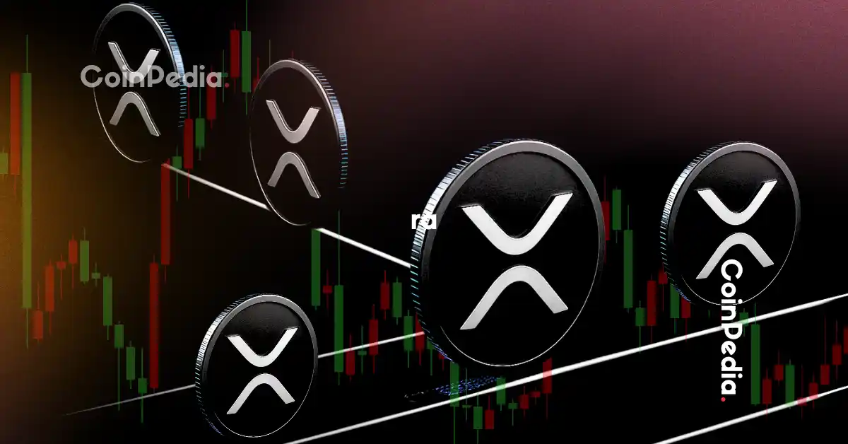 XRP Price Today Drops Below $3 After $55M Whale Transfer