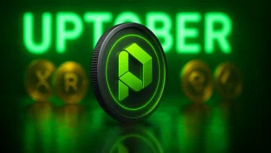 paydax-uptober