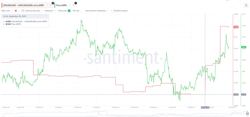 XRP Whale Activity At Its Peak