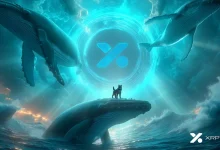 xrp-tundra (14)