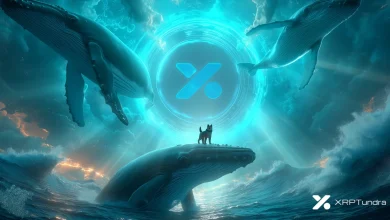 xrp-tundra (14)
