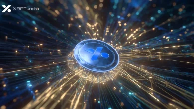 xrp-tundra (15)