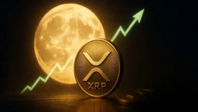 xrp-ripple-rise