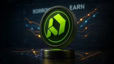 paydax (4)