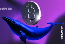 What Crypto Whales are Buying After Market Crash?