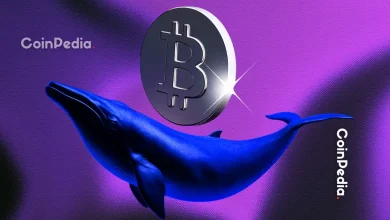 What Crypto Whales are Buying After Market Crash?