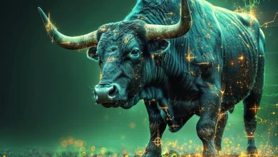 bull-run