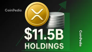 Full List of XRP Companies Shows $11.5B XRP Holdings Value and Treasury Gains