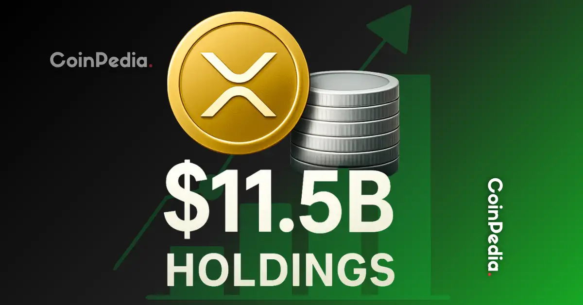 Full List of XRP Companies Shows $11.5B XRP Holdings Value and Treasury Gains