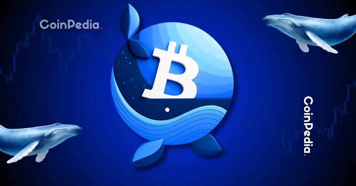 Top Altcoins Crypto Whales Are Buying Amid Market Crash