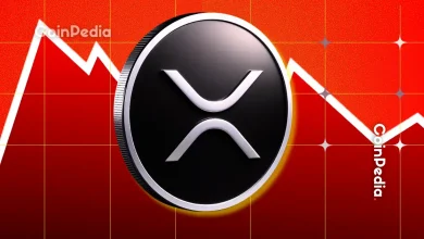 XRP News: $30B Inflows Put Ripple on Track for 135% Rally