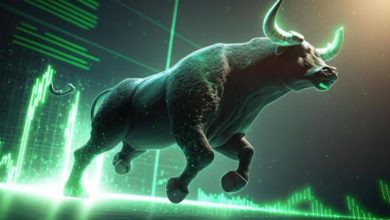 Bull Run