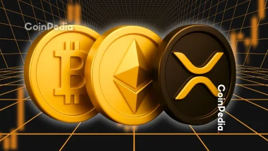 How Low Can Bitcoin, Ethereum, and XRP Prices Go Key Targets Revealed