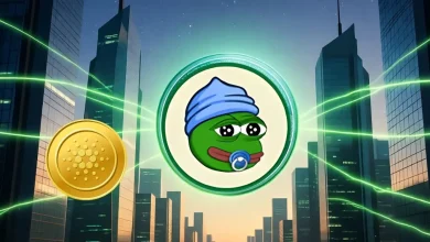 lilpepe-ada