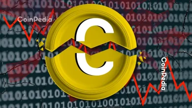Crypto Crash