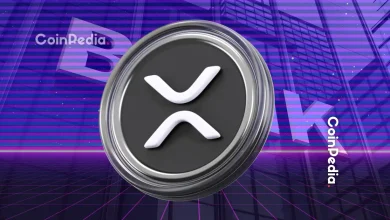 XRP Treasury