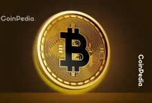 Bitcoin Treasury Bubble About To Burst, Say 10x Research