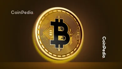Bitcoin Treasury Bubble About To Burst, Say 10x Research
