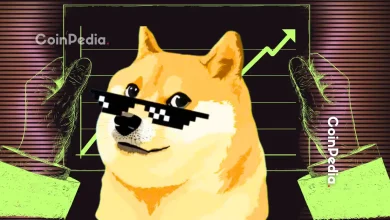 Analyzing DOGE Price Rally Is Dogecoin Preparing for a Major Recovery to $0.5