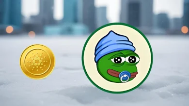 lilpepe-ada (1)