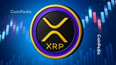 What Happens to XRP Price After ETFs Go Live Analysts Say ‘Rally May Be Over’