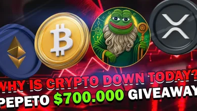 crypto-down-pepeto-giveaway