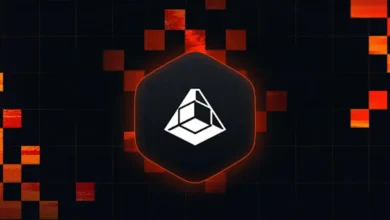 lava-network