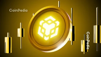 BNB Foundation Executes 33rd Token Burn