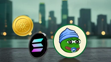ada-sol-lilpepe