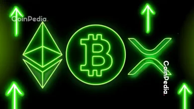 XRP Outshines Bitcoin and Ethereum with Record Q3 Surge and $170B Market Cap