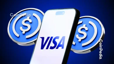 Visa Expands Stablecoin Support Across Four Blockchains Amid Crypto Push