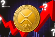 World’s Highest IQ Investor YoungHoon Kim Buys XRP