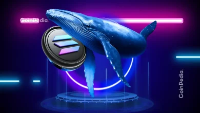 Solana ETFs See $52M Trading Volume by Day 3 Bitwise BSOL Hits $343M in Assets