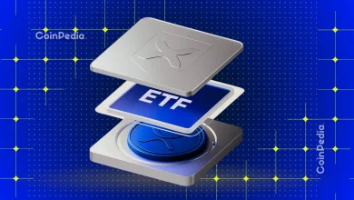 Ripple News: First Spot XRP ETF Could Go Live in Two Weeks, Says NovaDius President