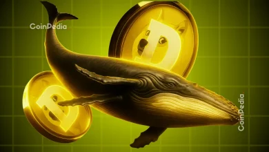 Dogecoin Whales Offload Billions in DOGE—Is the DOGE Price Rally at Risk of Plunging to $0.1