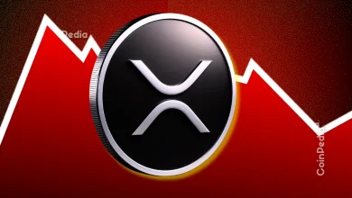 How Low Can XRP Price Go During This Crypto Crash?