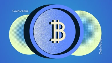 Crypto Enters a “Self-Funded Phase” As Liquidity Cools Is A Recovery Next