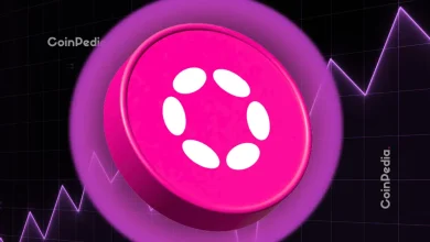 Polkadot Price Rockets Past $3.25 Mark, Bulls Eye $3.61 Amid Altseason Hopes?
