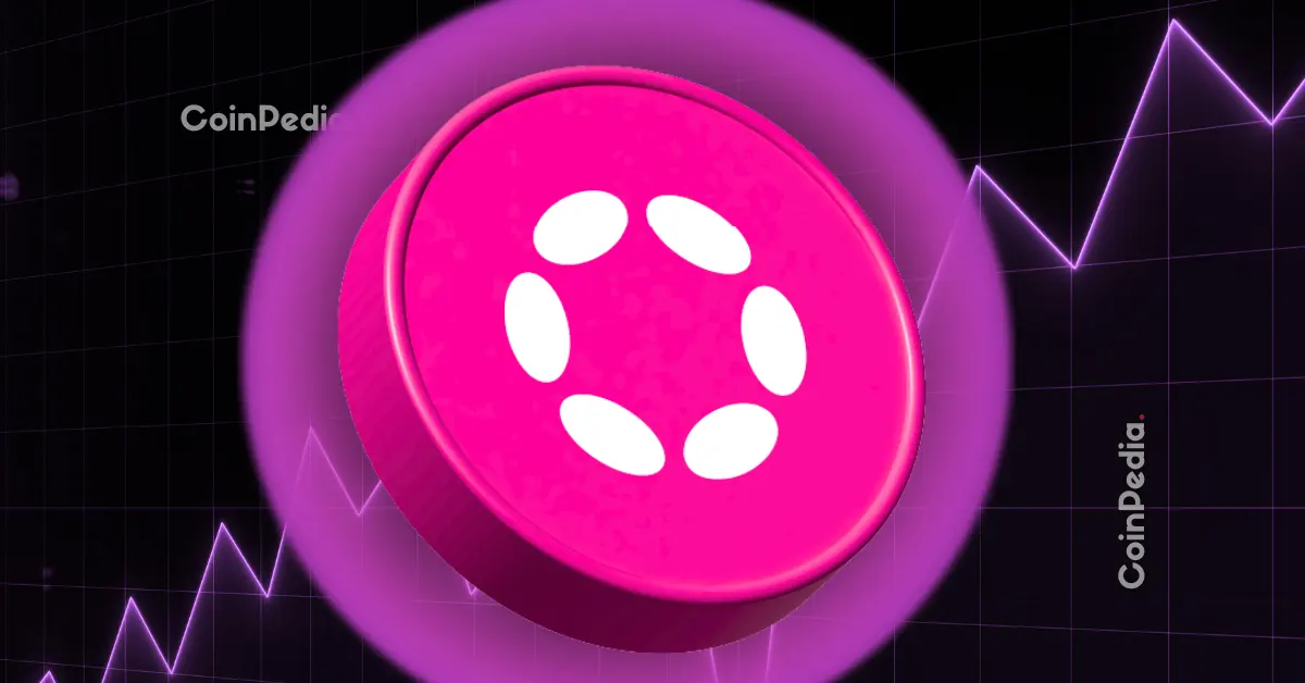 Polkadot Price Rockets Past $3.25 Mark, Bulls Eye $3.61 Amid Altseason Hopes?