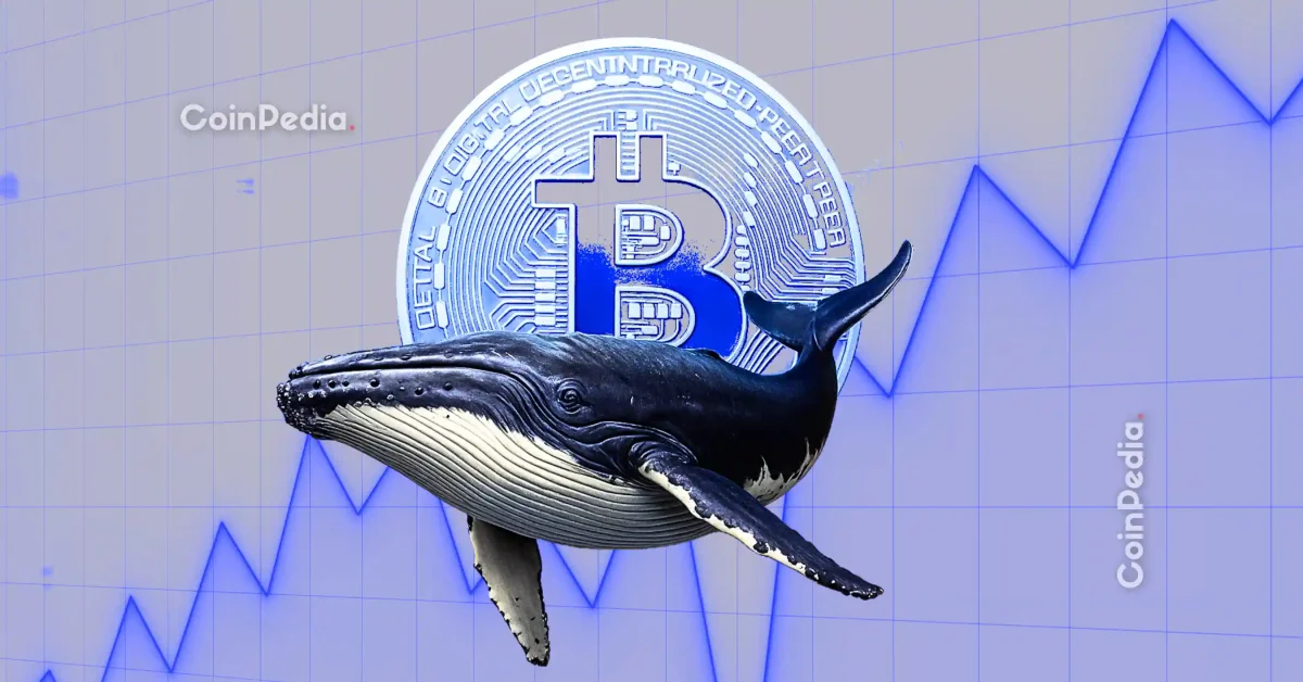 Bitcoin OG Whales Are Taking Profits Dumping $1.1B As BTC Prices Hit $107K