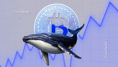 Bitcoin OG Whales Are Taking Profits Dumping $1.1B As BTC Prices Hit $107K