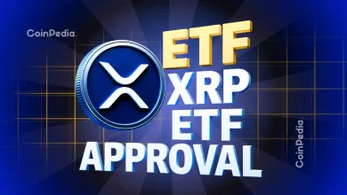 XRP ETF Approval Gains Momentum as U.S. Government Reopens