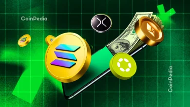 Top Crypto Gainers Today Decred and StarkNet Prices Rally as Altcoins Rebound