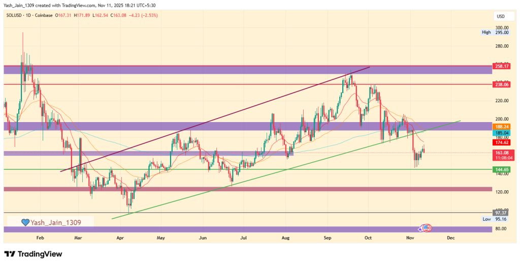 SOL Price Prediction 2025: Is Solana Heading Toward a Deeper Correction Before 2025?
