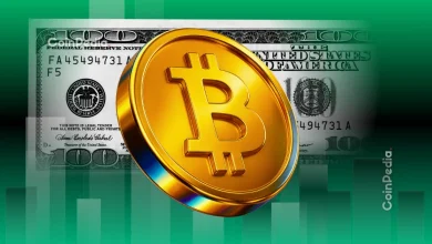 What Happened in the Crypto Market Today November 11th 2025