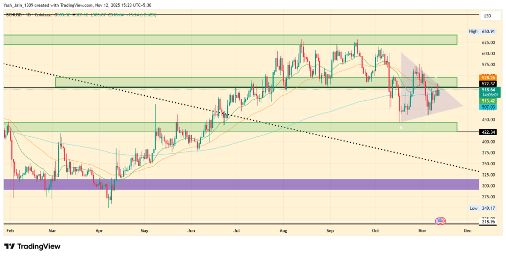 Bitcoin Cash Price Prediction November 2025