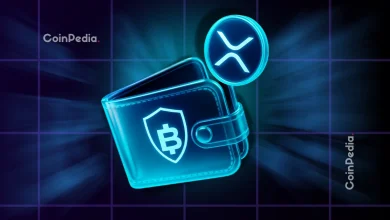 BitGo Wallet Glitch Floods XRP Ledger with Failed Payments