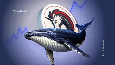 Uniswap Whale Activity Hits 4-Year High as Retail FOMO Builds, UNI Price Jumps 70%