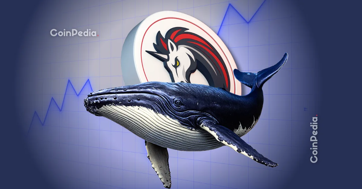 Uniswap Whale Activity Hits 4-Year High as Retail FOMO Builds, UNI Price Jumps 70%